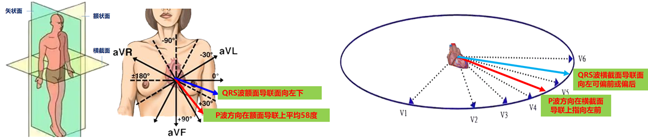 9.png