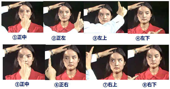 6.png