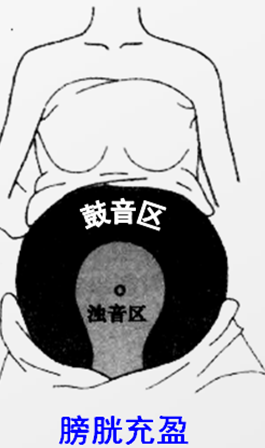 10.png
