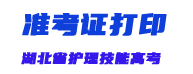 2024年技能高考准考证打印